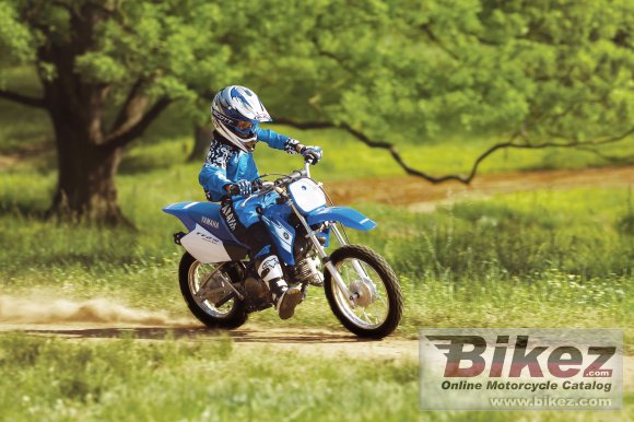 2007 Yamaha TT-R 90 E photo